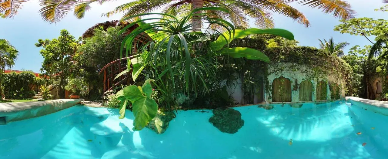 La Quinta Orquidea Hotel Puerto Morelos