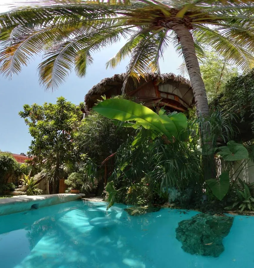 La Quinta Orquidea Hotel Puerto Morelos 0*,