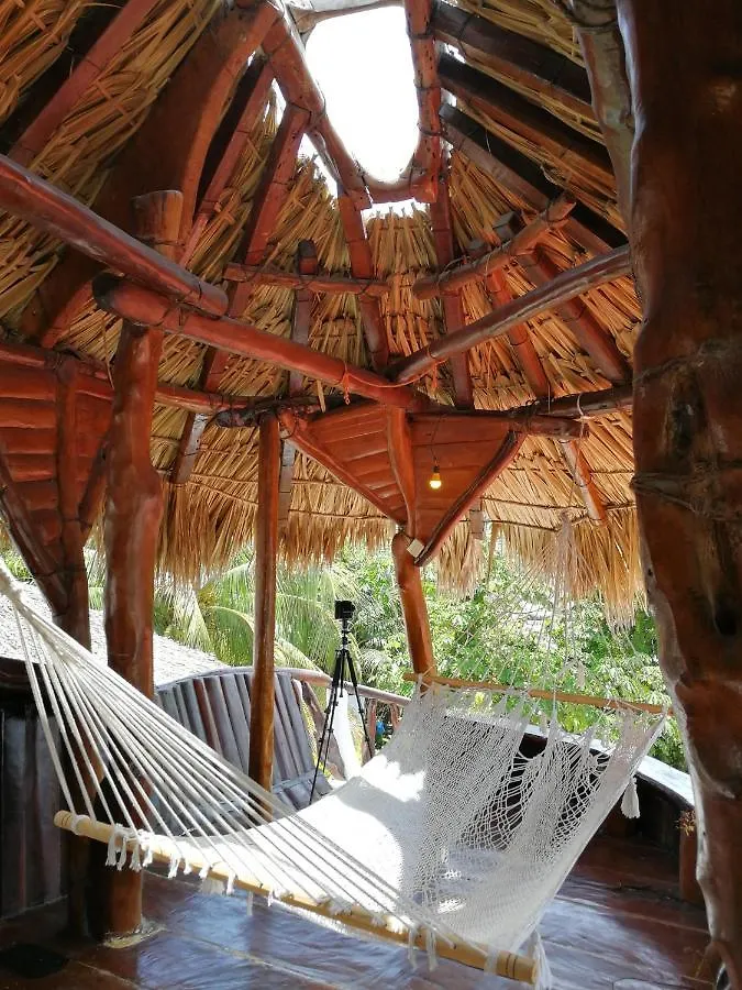 La Quinta Orquidea Hotel Puerto Morelos 0*,  Mexico