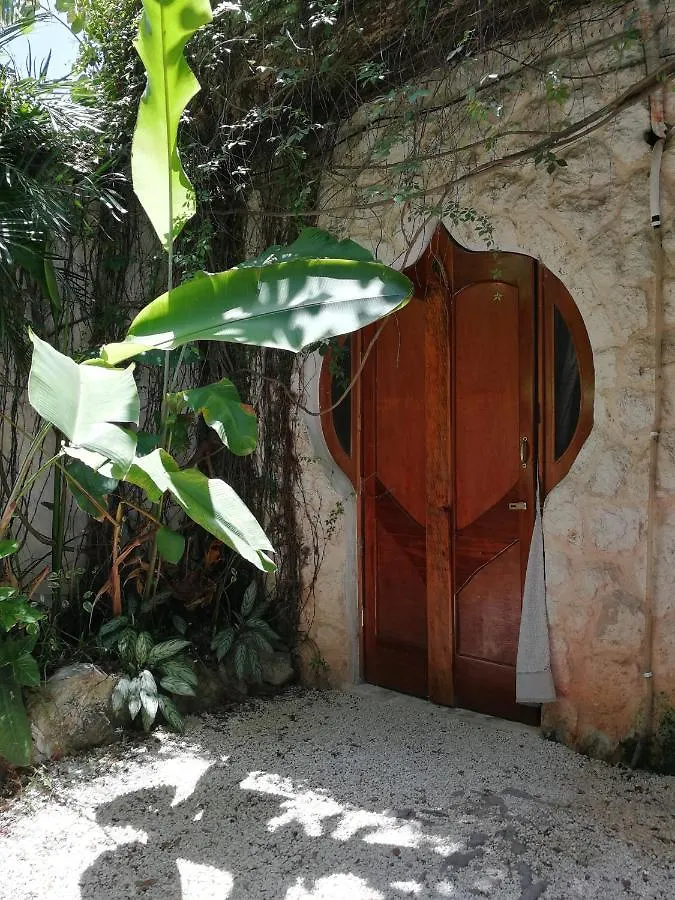 La Quinta Orquidea Hotel Puerto Morelos